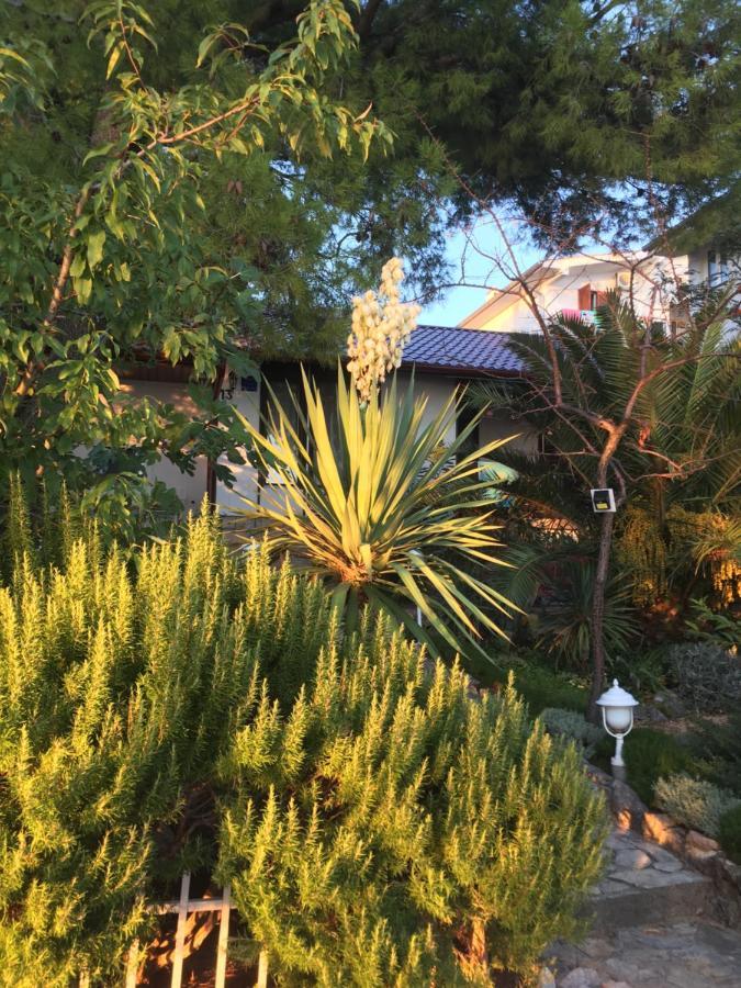 Beach House Starigrad Paklenica Exterior photo